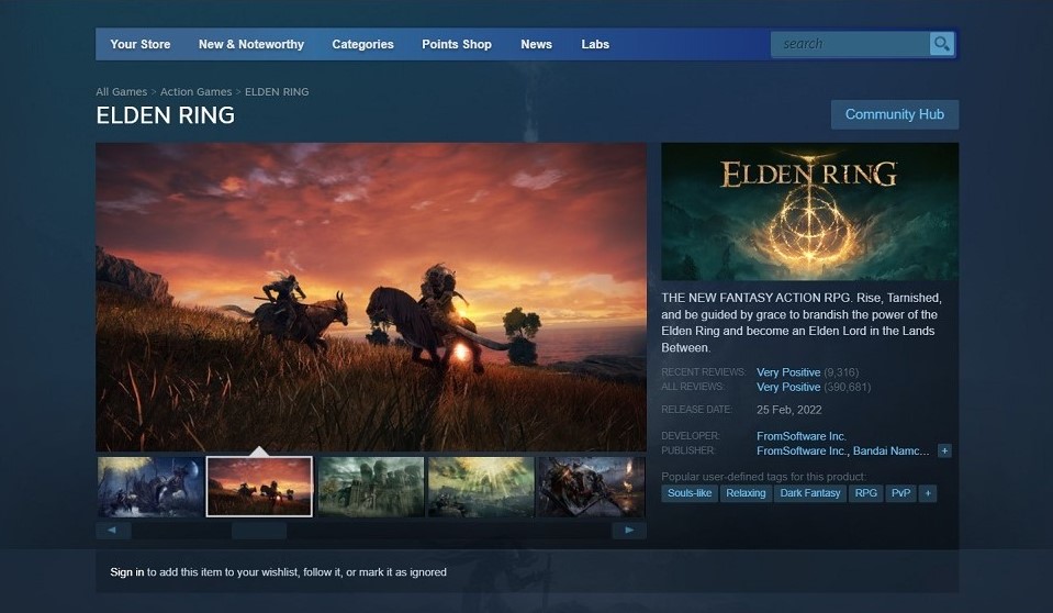 All the info you need for the Steam version of Elden Ring 