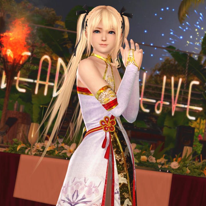 Interview with Dead or Alive Xtreme Venus Vacation's producer