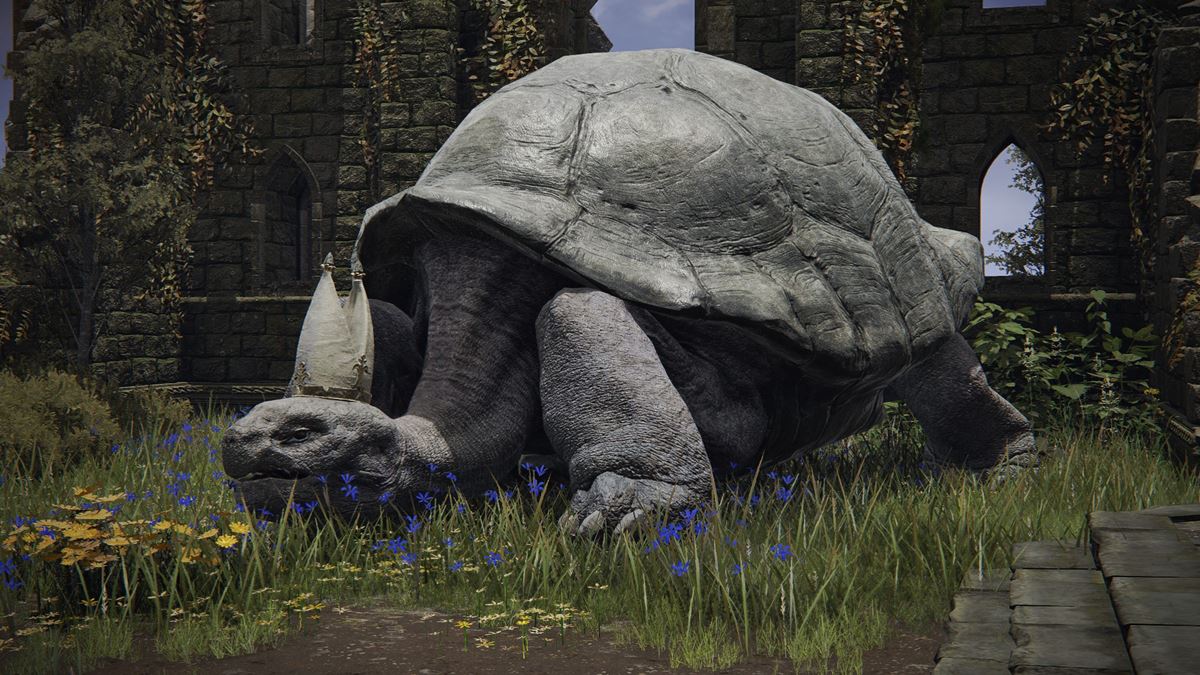 Elden Ring’s “Turtle Pope” Miriel continues to be revered by fans