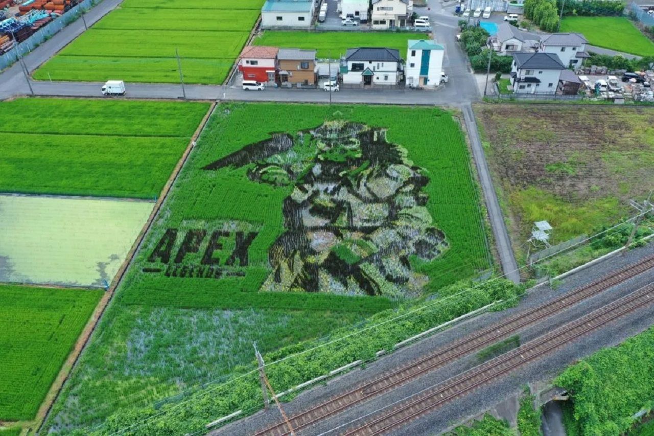 Apex Legends rice paddy art has been created in Japan