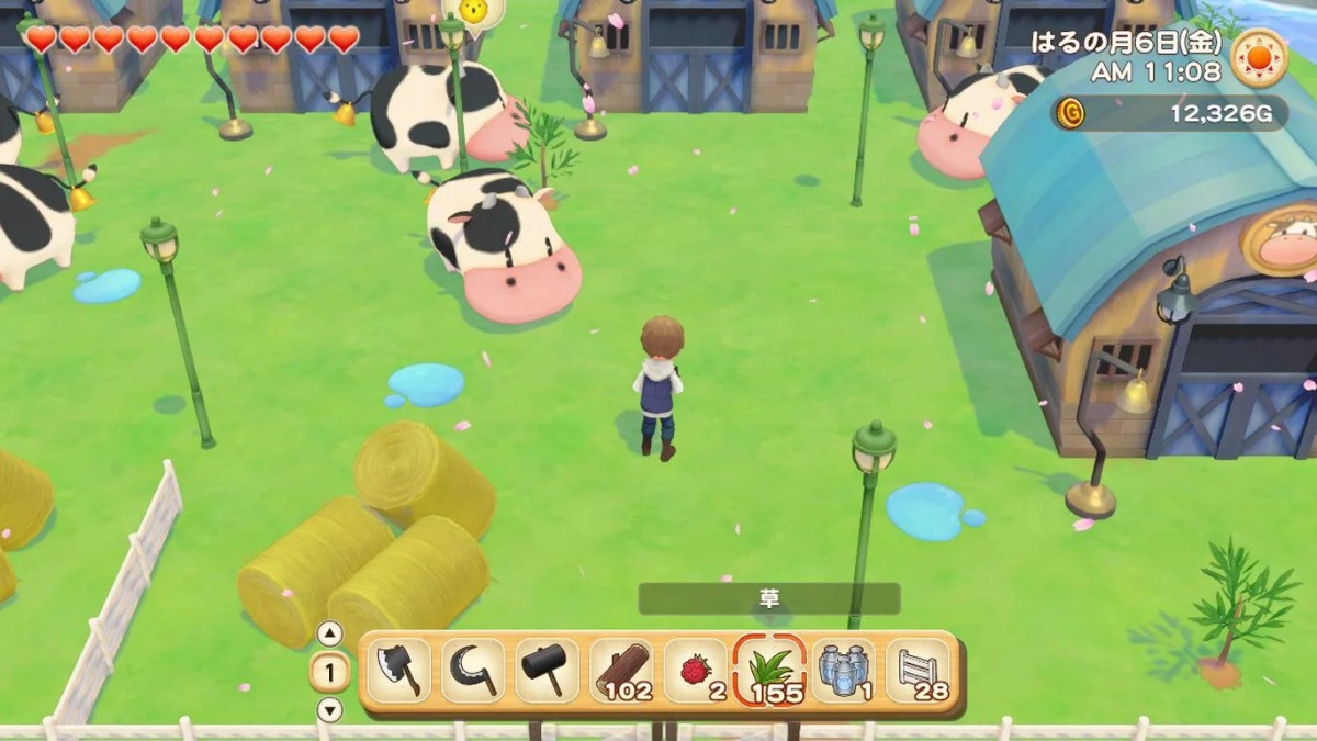 Farming simulation game Story of Seasons influences Japanese man to become a farmer in real life 