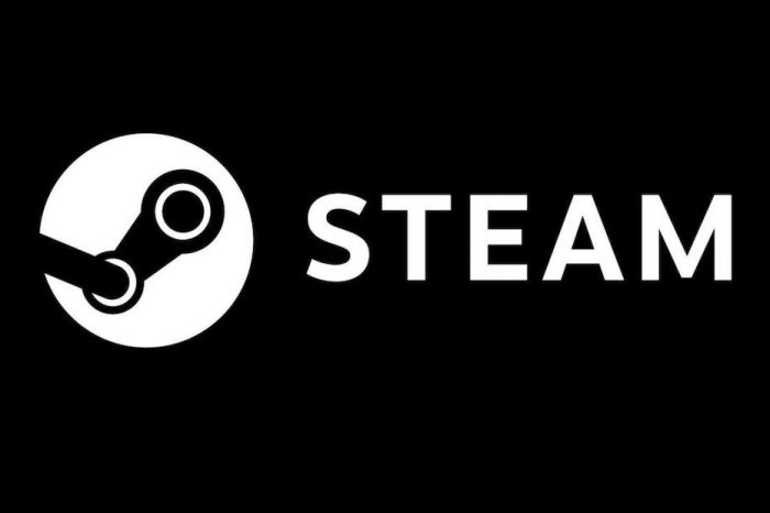 Popularity of Steam sales leaves developers in a game pricing dilemma  