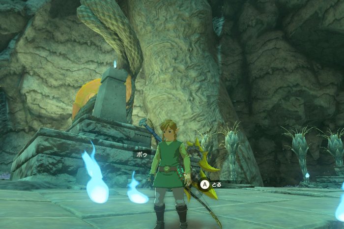 Zelda: Tears of the Kingdom player spends 6 months farming 999,999 Poes 