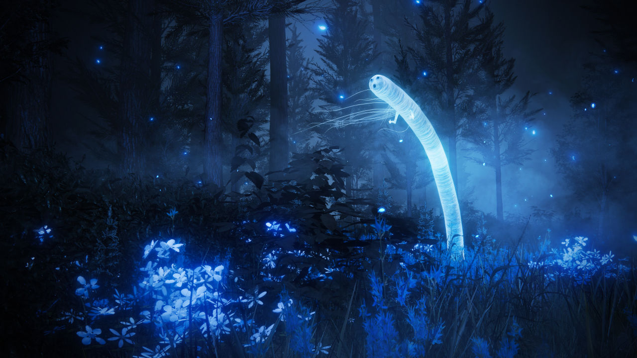 Unknown worm character in Elden Ring: Shadow of the Erdtree DLC