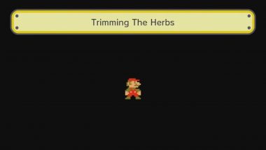 Super Mario Maker Trimming the Herbs