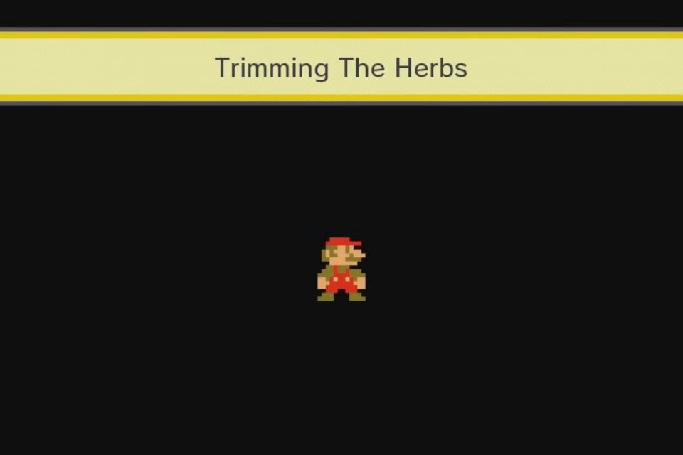 Super Mario Maker Trimming the Herbs