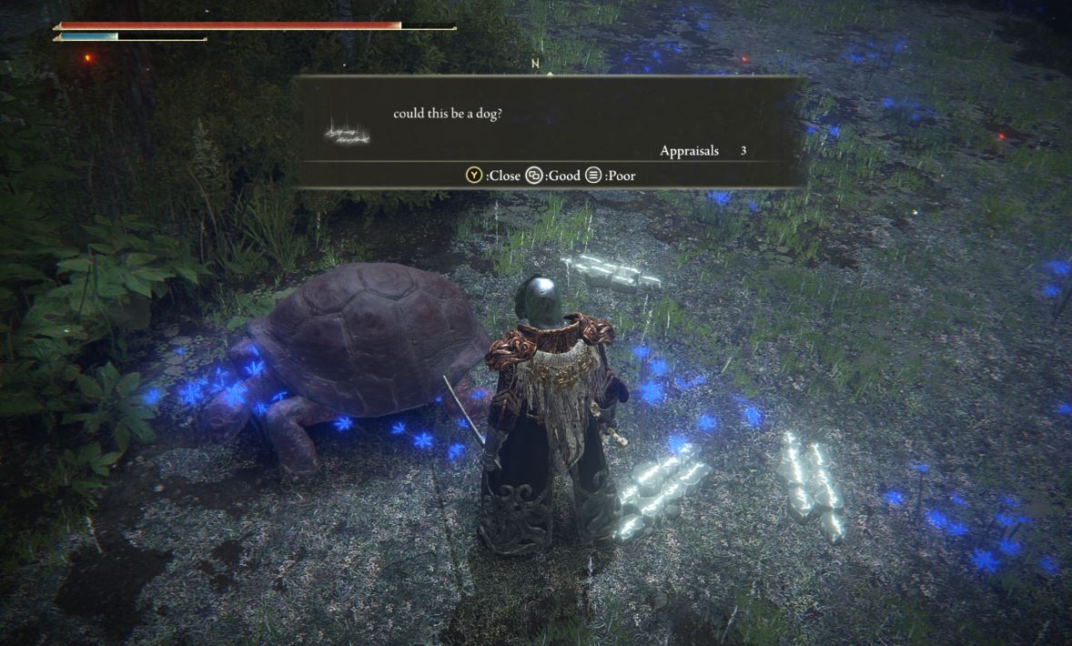 Elden Ring in-game message saying "could this be a dog" next to a turtle