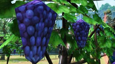 Original low-poly grapes in FF14