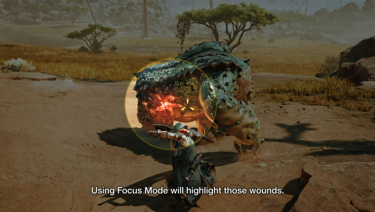 Monster Hunter Wilds Focus Mode