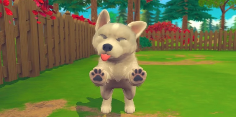 Nintendogs