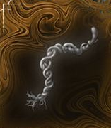 Cord End in Elden Ring Nightreign