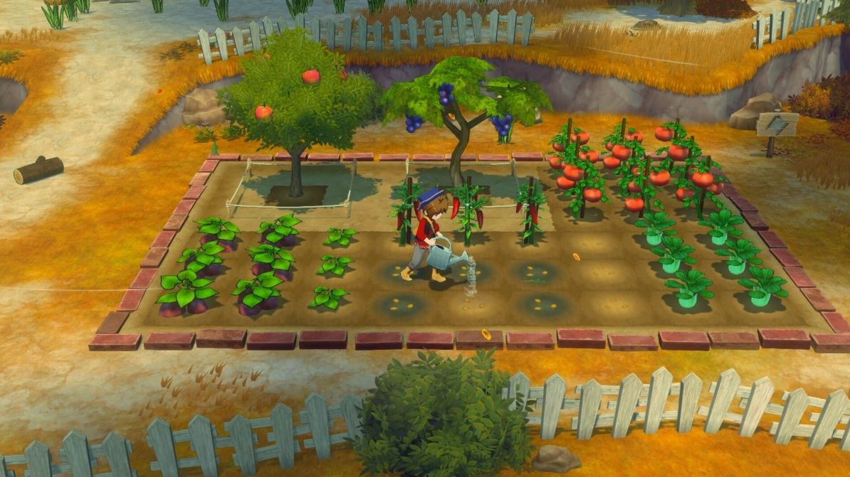Story of Seasons: Grand Bazaar