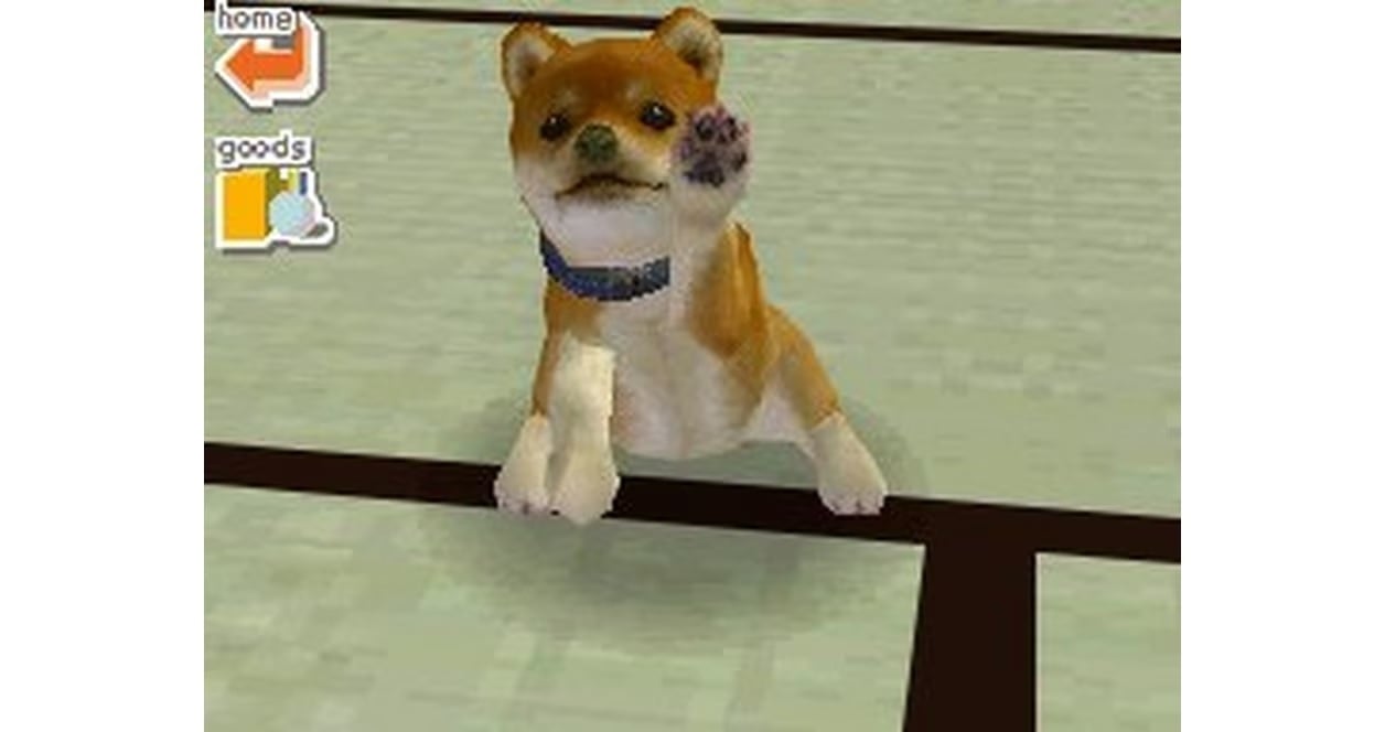Nintendogs gameplay.