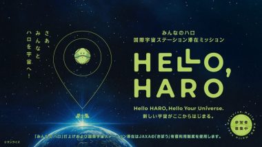 Hello Haro