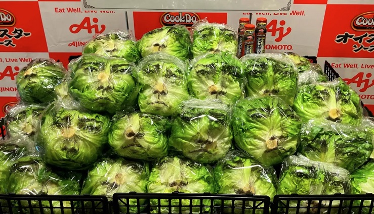 Tatsuya Fujiwara lettuce