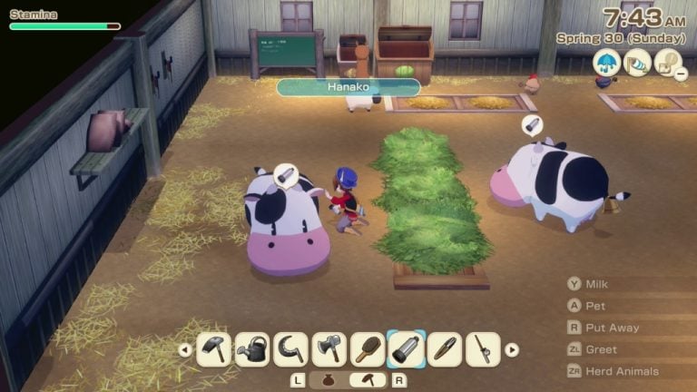 Story of Seasons