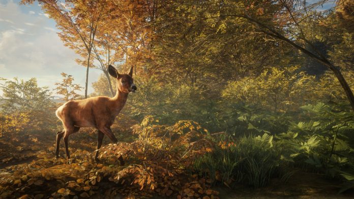 オープンワールド狩猟ゲーム Thehunter Call Of The Wild 正式発表 美麗な森で動物を狩る極上のハンティング体験がここに Automaton