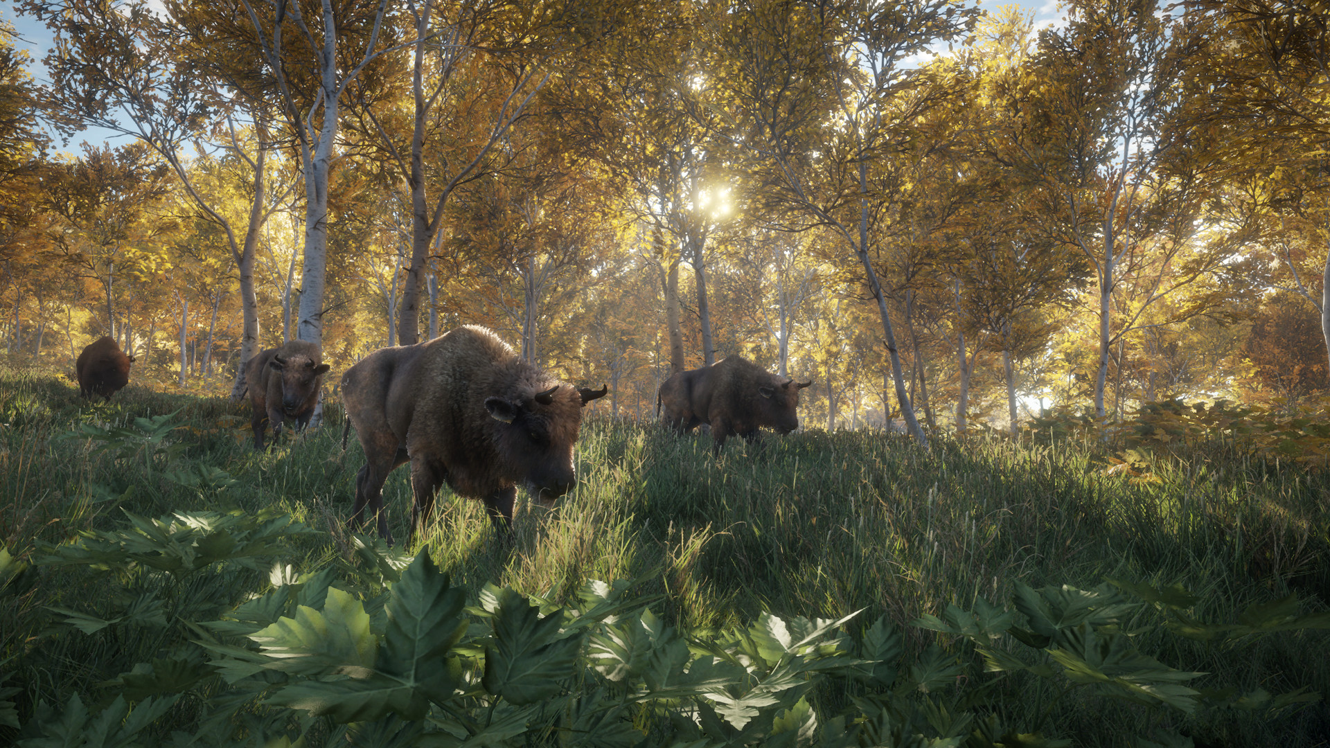 オープンワールド狩猟ゲーム『theHunter: Call of the Wild』がSteamで