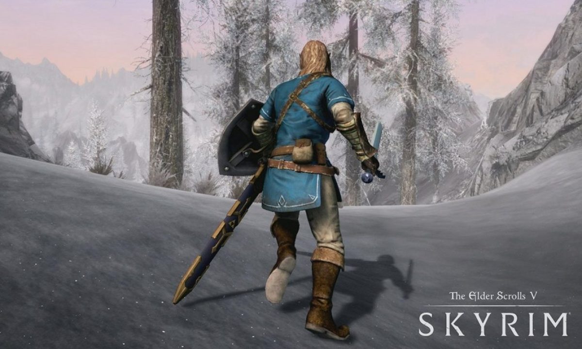 Switch ダクソ　スカイリム　スマブラ　ゼルダ Skyrim SE】Zelda Hyrule Warriors Outfit – TRE-MAGA