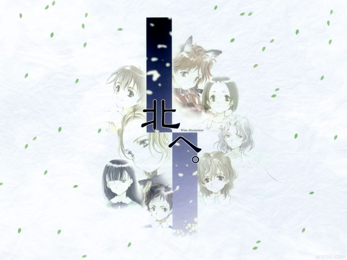 Illumination 北へ。 White | 北へ。White まとめ売り 北へ。のカード