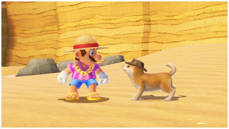 スーパーマリオ オデッセイ の柴犬には Nintendogs のモデルが直接使われていた 一部界隈でホットな 流用話 にポジティブムード Automaton