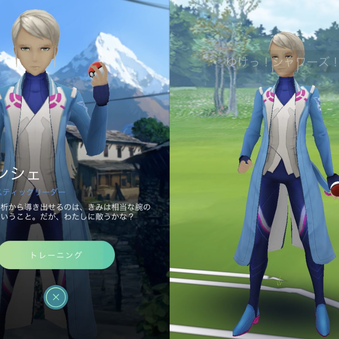 ポケモン - キャンデラ スパーク ブランシェ 博士の研究 ポケモンカード Pokemon Go s10b 博士の研究(ウィロー博士