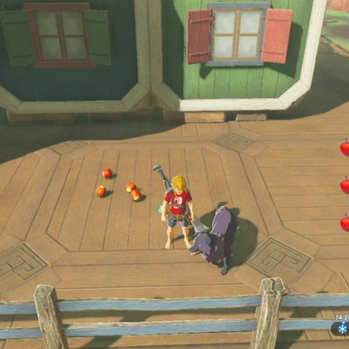 犬子　ゼルダの伝説 2本 Amazon.co.jp: ゼルダの伝説 トワイライトプリンセス（2