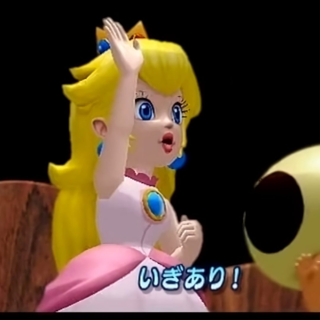 スーパーマリオサンシャイン』スピードランにて「特定の改造セーブ