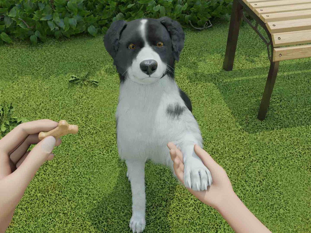 犬育成シミュレーション『Dog Trainer』発表。子犬から成犬まで