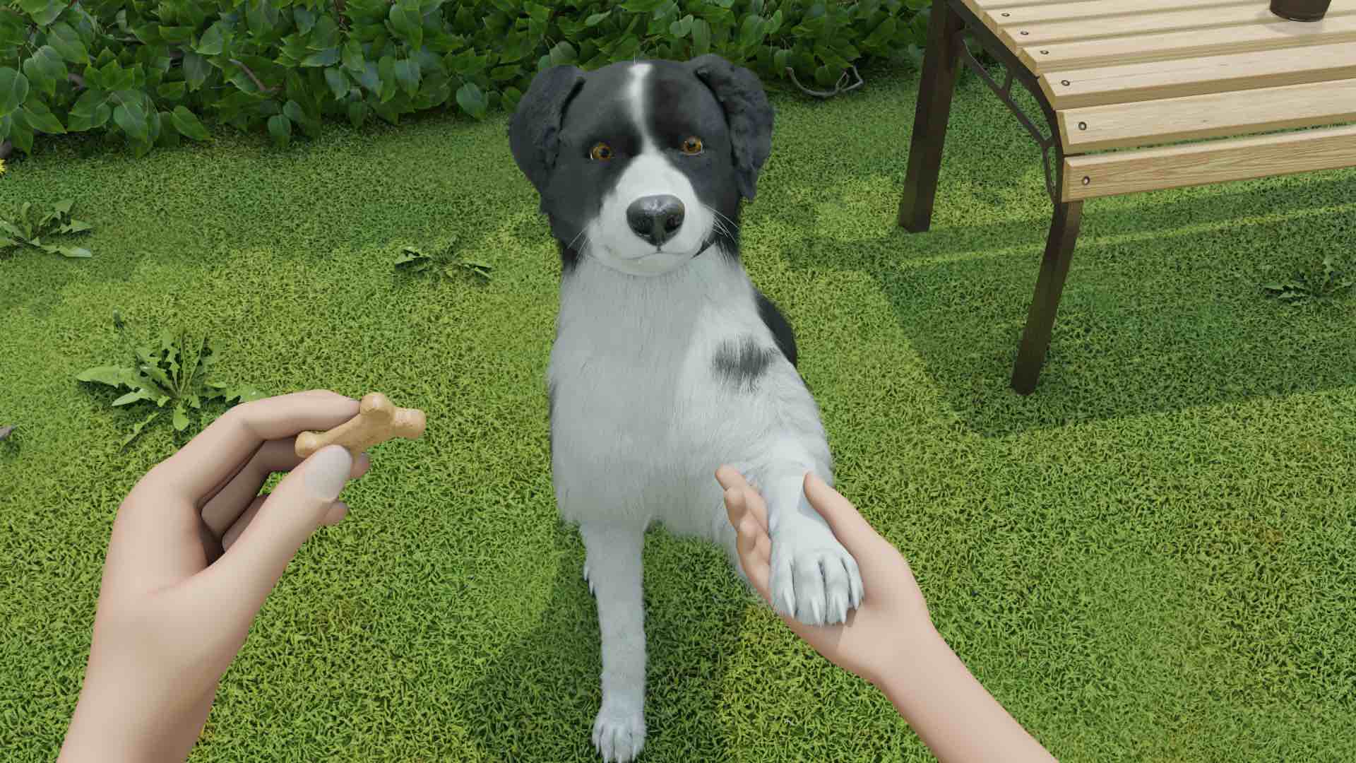 犬育成シミュレーション Dog Trainer 発表 子犬から成犬まで 相棒と苦楽をともにする本格育てゲー Automaton