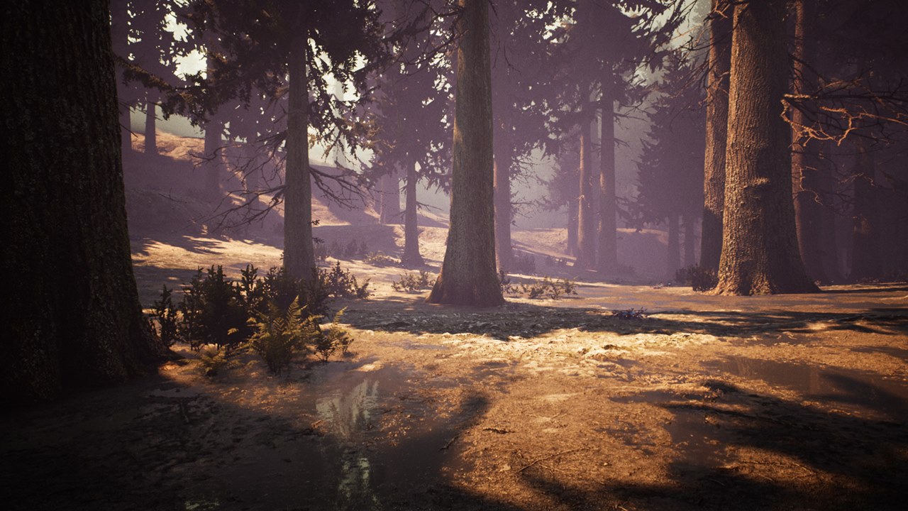 静かな森を歩くゲーム Nephise Begins Steamにて期間限定で無料配布中 Automaton