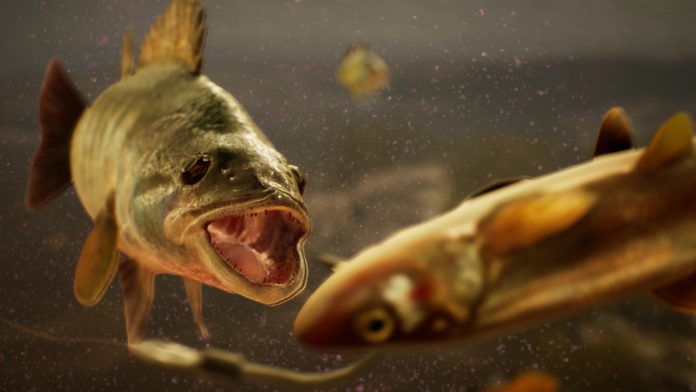 本格釣りシム『The Catch: Carp & Coarse』発表、2020年夏発売へ