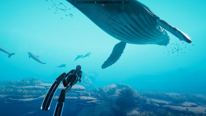 海探索ゲーム Beyond Blue 6月上旬pc Ps4 Xbox One向けにリリースへ 海を感じ 学べる海洋体験 Automaton