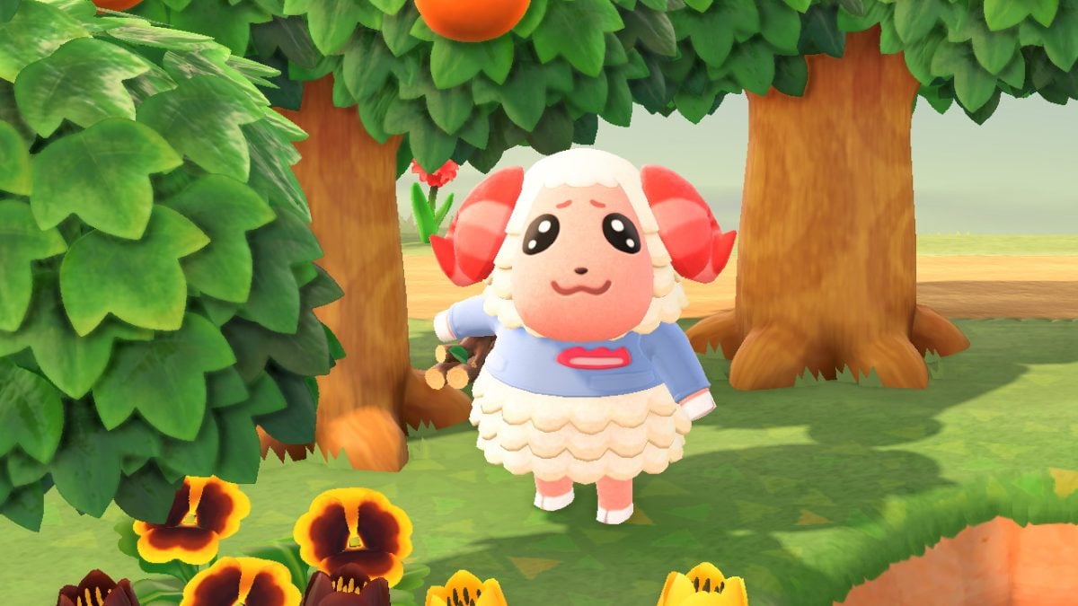 あつまれ どうぶつの森』の「ちゃちゃまる」人気爆発中。そこにいる