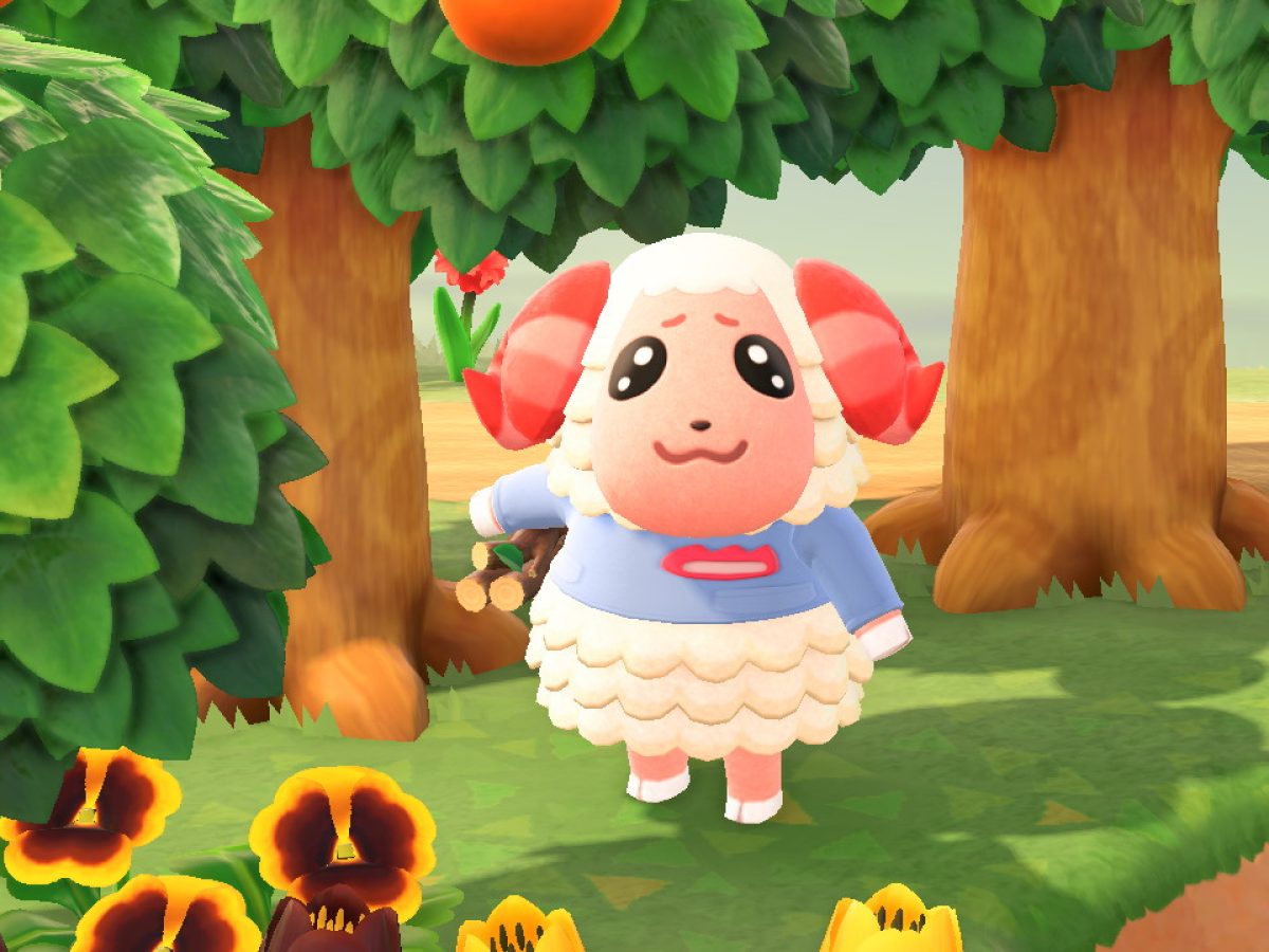 あつまれどうぶつの森 あつ森 どう森 ジュン ちゃちゃまる