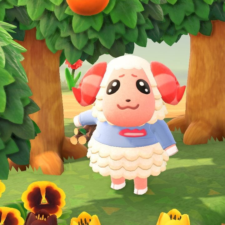 あつまれ どうぶつの森』の「ちゃちゃまる」人気爆発中。そこにいる