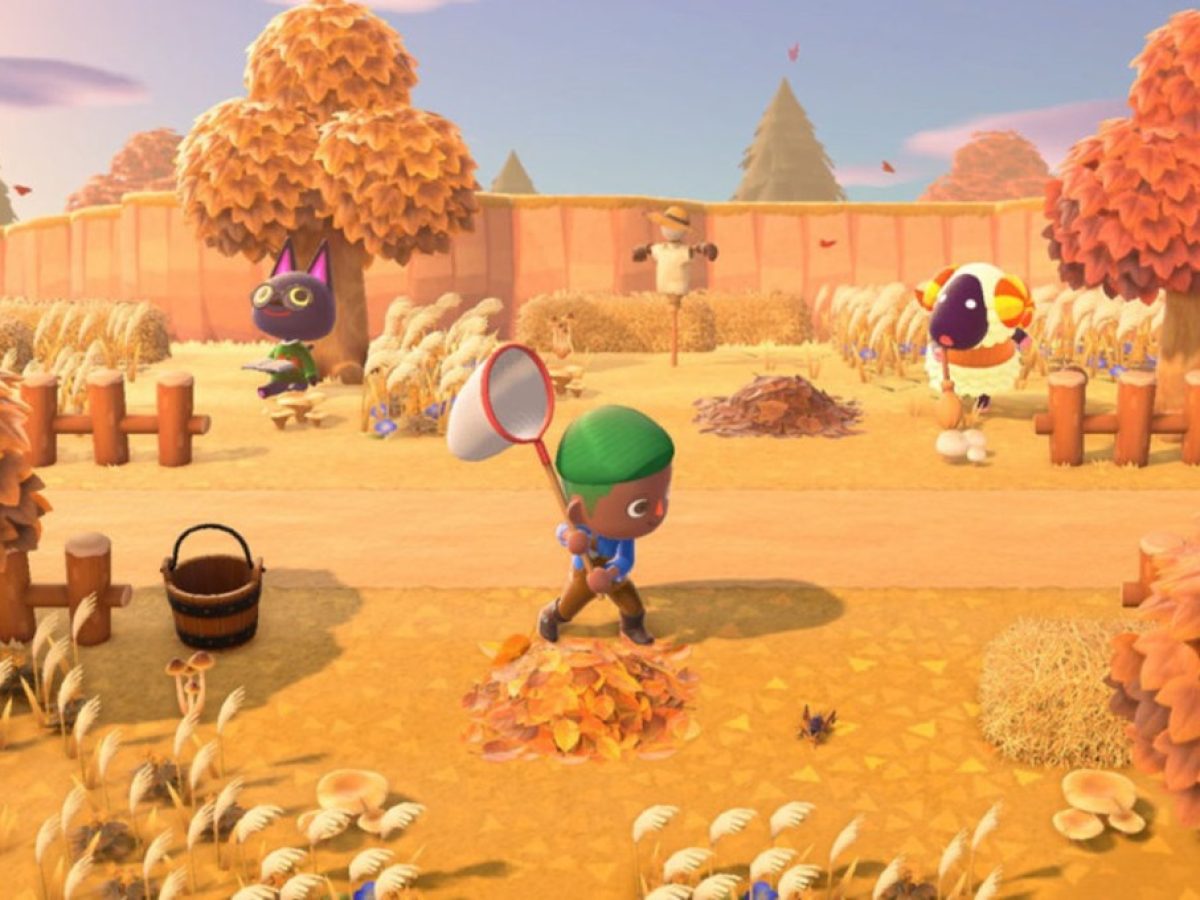 どうぶつのもり Amazon.co.jp: Nintendo Switch あつまれ どうぶつの森セット : Video