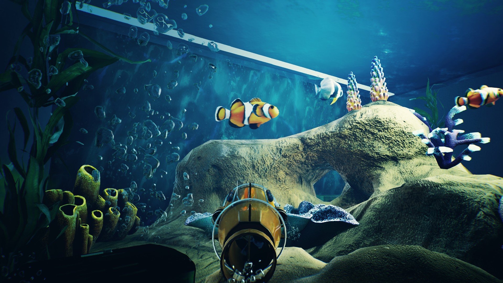 水槽管理シム Fishkeeper 発表 小型潜水艦型カメラで 魚視点 で水槽を泳ぎ回れる 本格派アクアリウムゲーム Automaton