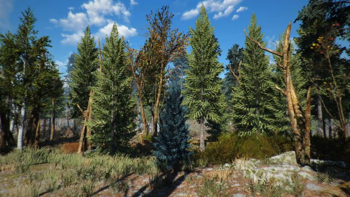 Fallout 4 のマップ内に 約1万本 もの木々を生やす大規模modが配布中 荒廃したボストンが緑豊かな自然地帯へと生まれ変わる Automaton