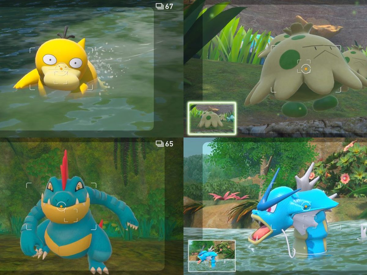 New ポケモン スナップ Nintendo Switch『New ポケモンスナップ』大型アプデがサプライズ発表