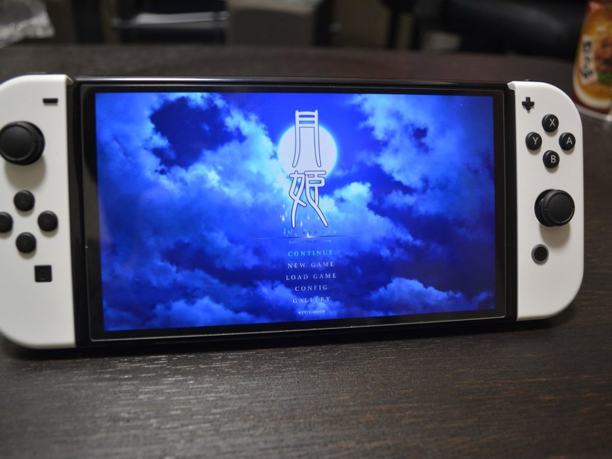 Nintendo Switch - ゆきりん　取り置き分です。 Nintendo Switch - ゆきりん様専用 取り置き分です。の通販 by
