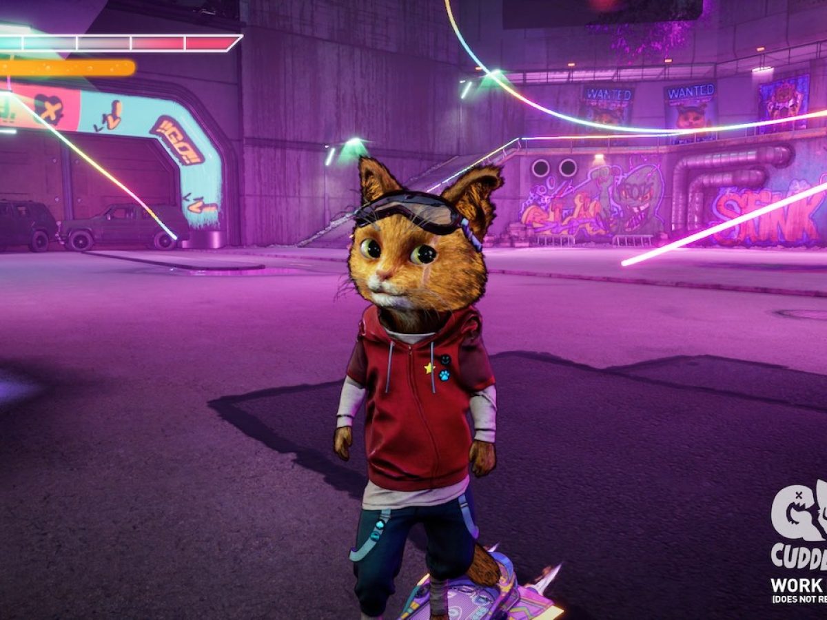 荒れ地のねこ Amazon.co.jp: ゼンレスゾーンゼロ ゼンゼロ ZZZ 公式グッズ 正規品 猫