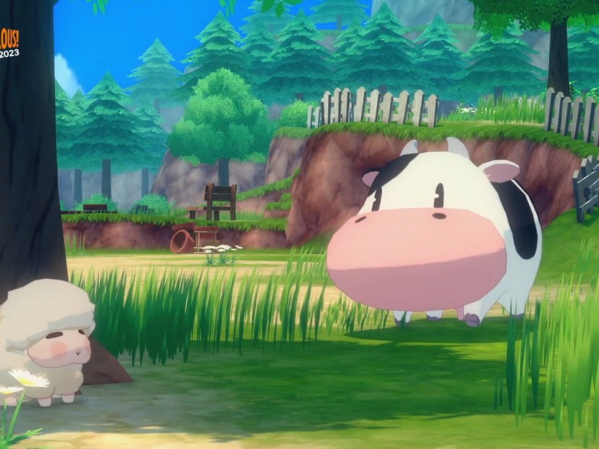 動作未確認 Wii 牧場物語 わくわくアニマルマーチ｜Yahoo!フリマ