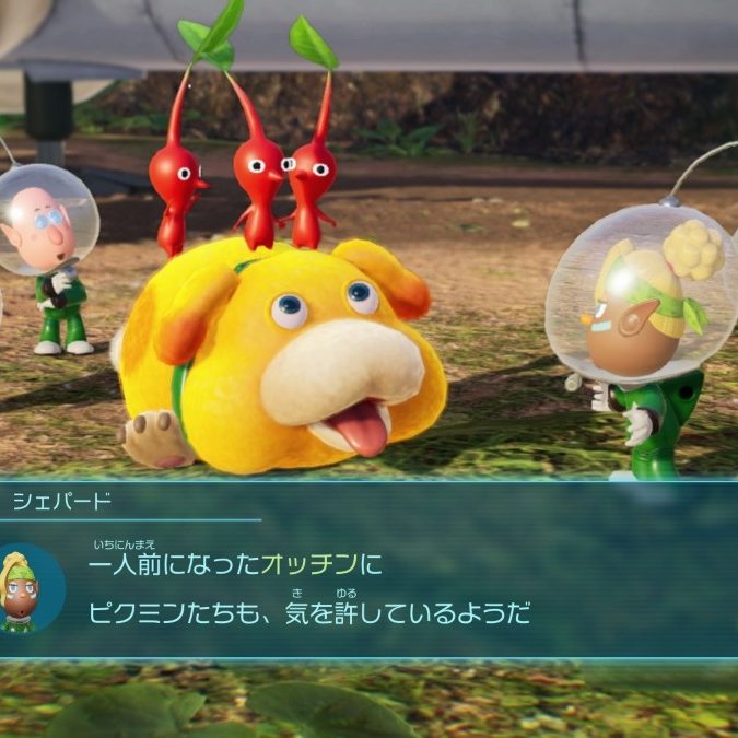 Switch】ピクミン4（9本） Amazon.co.jp: ピクミン4 パーフェクト