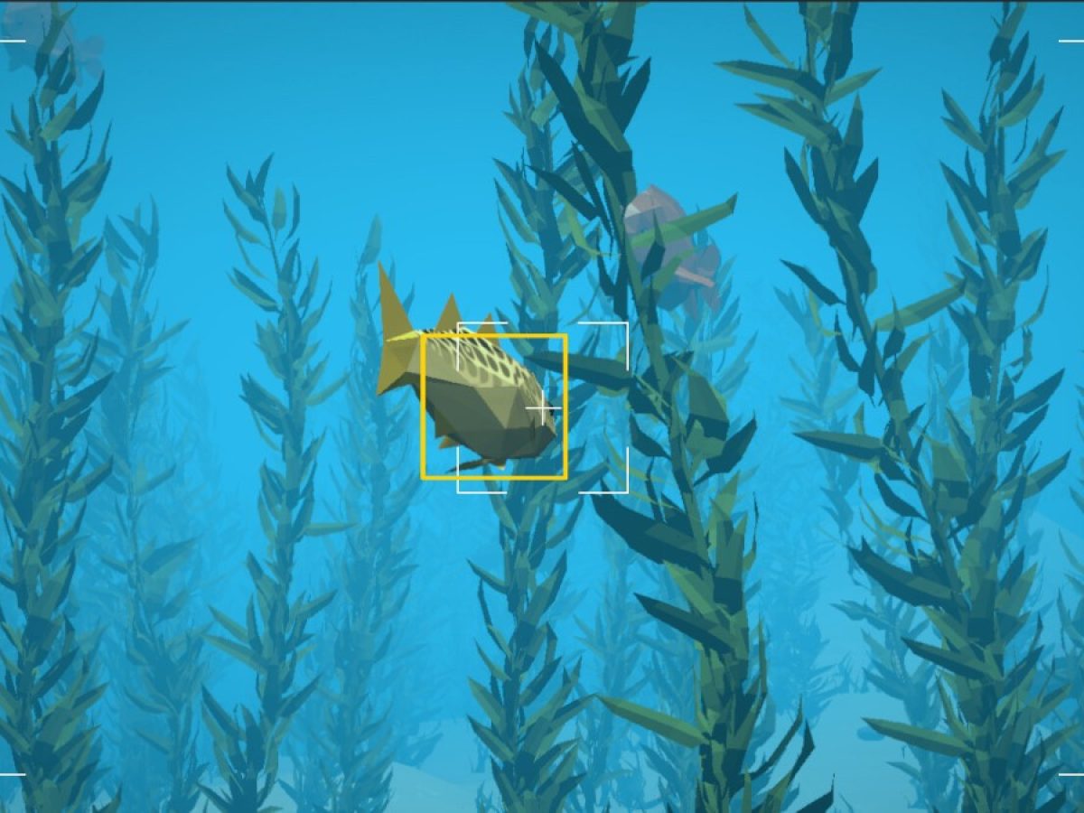 海中撮影ゲーム『Pelagos: A Marine Adventure』発表。手つかずの自然