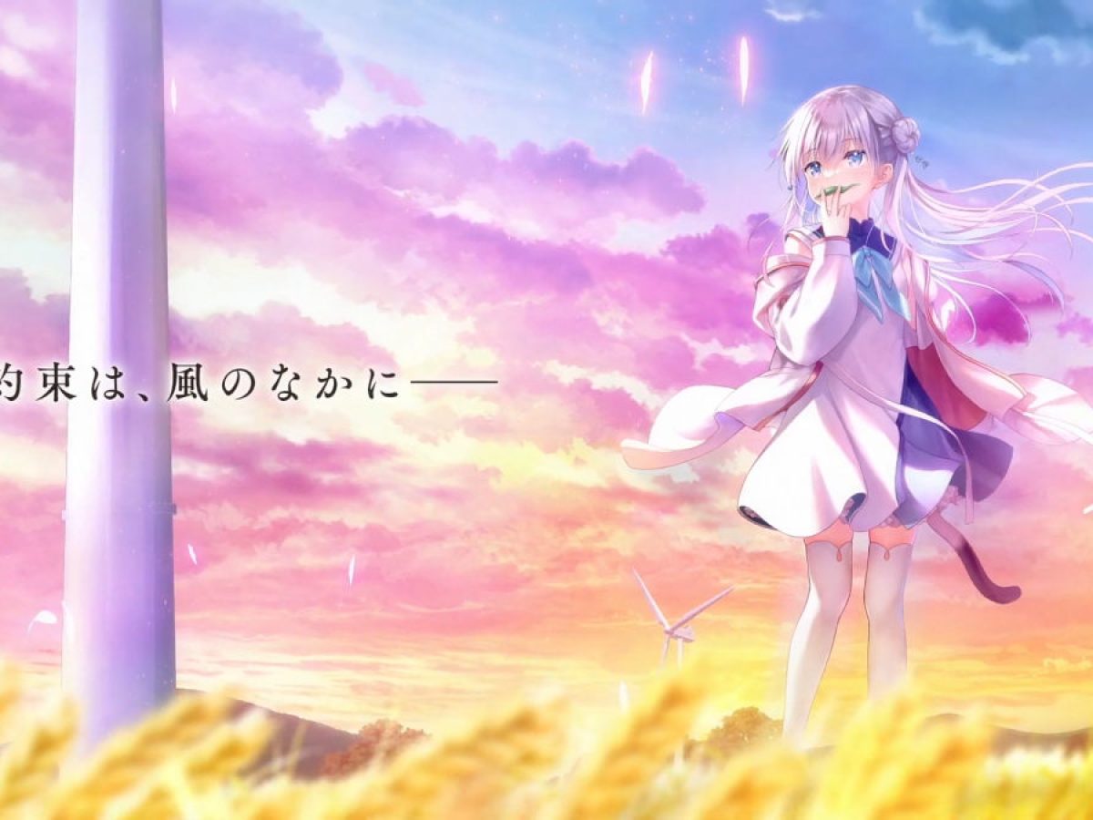 20231115-272244-header-