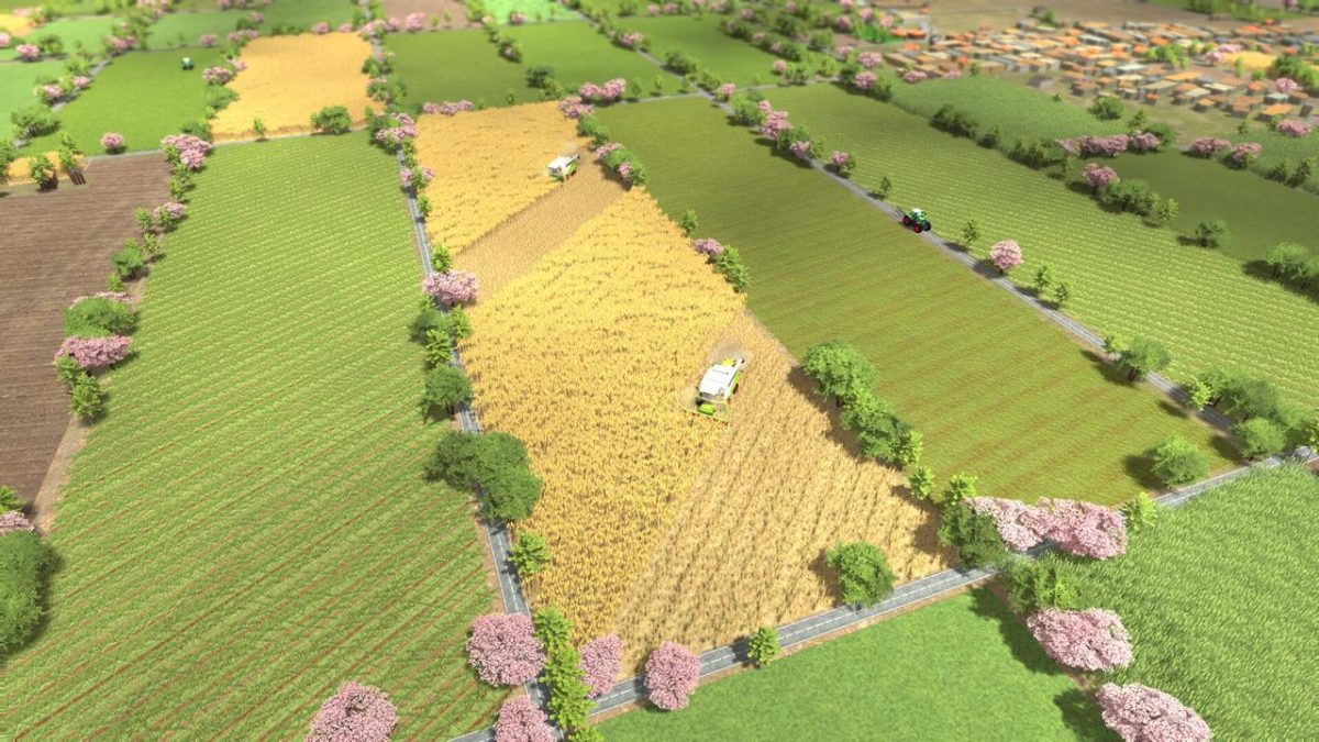 20240425-290994-header-