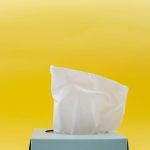 tissues-steam-20240629-299748-header