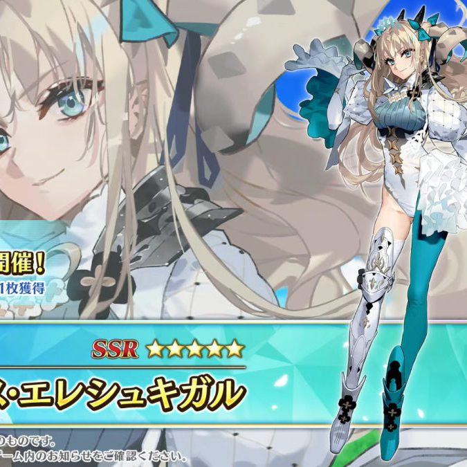 最終再臨展 エレシュキガル エレシュキガルオルタ スペースエレシュキガル FGO】スペース・エレシュキガル（水着エレシュキガル） マイ