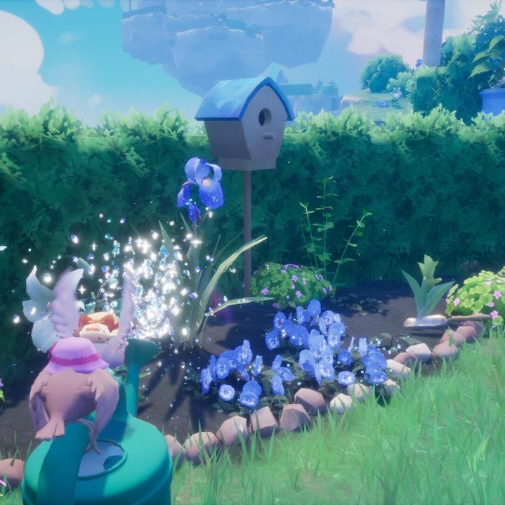 garden-trills-20240827-307921-